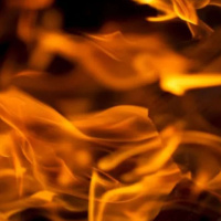 Vår, varme og vitenskap