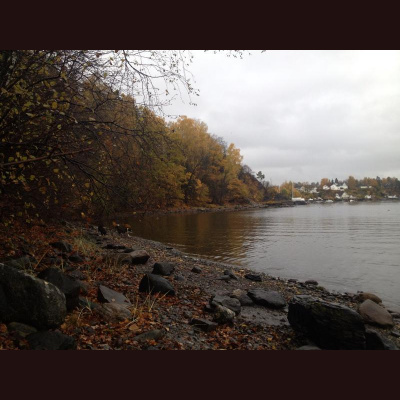 Remi Marents s Posts