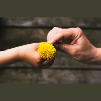 Reemigrantu emocijas, atgriežoties Latvijā: Kā pielāgoties jaunajai dzīvei