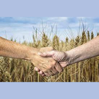 Diaspora palīdz Ukrainas bēgļiem. Pasaulē mainās attieksme pret tiem, kas palīdz