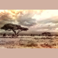 Kādi ceļi un sapņi aizveduši latviešus uz Āfrikas tālajiem krastiem?