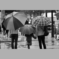 Reemigrācija: aktuālie aspekti cilvēkiem, kas atgriežas Latvijā pēc ilgāka laika ārvalstīs