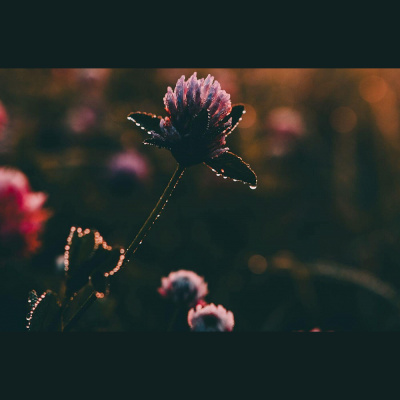 Globlais Latvietis. 21. Gadsimts