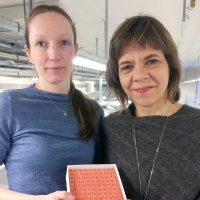 Tromsøundersøkelsen