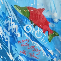 MariborIsTheFuture #109: (Gorsko)kolesarsko mesto