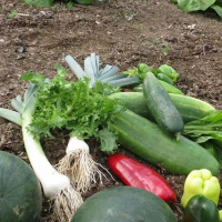 MariborIsTheFuture 85: Dobre prakse