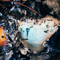 MARIBOR IS THE FUTURE 66 - Intimni: Prestopi/Crossings Mi ne gremo nikamor/We Are Here To Stay