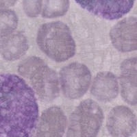 #74: EkstremnoSlovensko z Urošem Maroltom