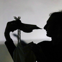 #124: Don Kihot na kavču