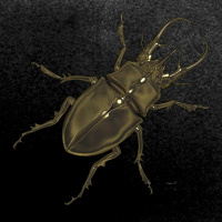 MARIBOR IS THE FUTURE 046: Studio 12:22