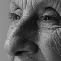 MariborIsTheFuture 83: projekt Vida