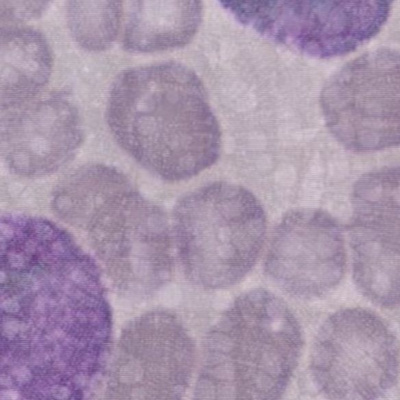 Maribor Is The Future