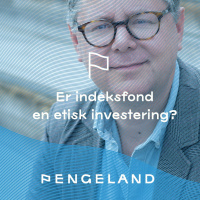 3 - 2022 - Er indeksfond en etisk investering?