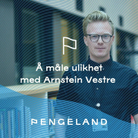 2 - 2022 - Å måle ulikhet med Arnstein Vestre