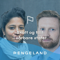 Skatt og tillit i sårbare stater