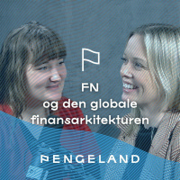 FN og den globale finansarkitekturen