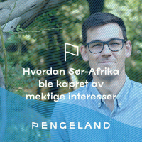 Hvordan Sør-Afrika ble kapret av mektige interesser