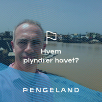 Hvem plyndrer havet?