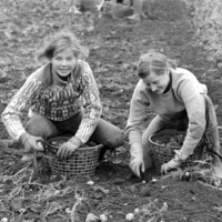 VORMEDAL: Høstferiens historie