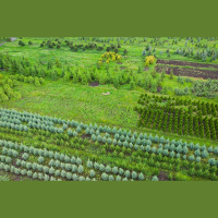 Latvijas Dabas fonds aicina uz atvērto pļavu dienām