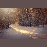 Ziema vilina doties ārā, bet kā sevi pasargāt no aukstuma?