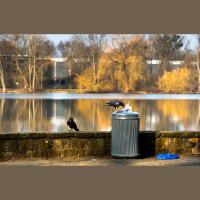 Dzīve pie upes: atbildīga saimniekošana tās krastos