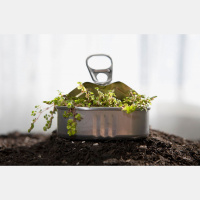 Augu produkti uzturā: pieprasījums pēc alternatīvām gaļas, zivju un piena produktiem aug