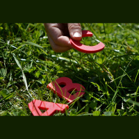 Latviešu valodas stunda pirms Ziemassvētkiem