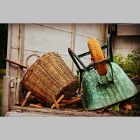 Dārza darbi septembrī