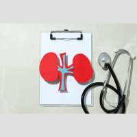 Nieres ir pelnījušas mūsu rūpes un uzmanību