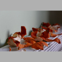 No nākamā gada būs jāšķiro bioloģiskie atkritumi: vai iedzīvotāji tam ir gatavi