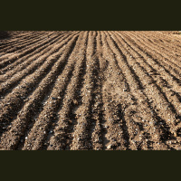 Bezaršanas tehnoloģija lauku apstrādē: vai tai ir nākotne