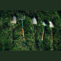 Tikai gudri stādot kokus, var dzēst CO2 pēdas nospiedumu