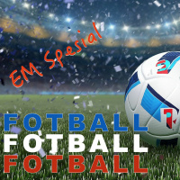 EM kick-off del 3: Gruppe E  F