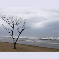 Naše prihodnosti na planetu, ki ne raste