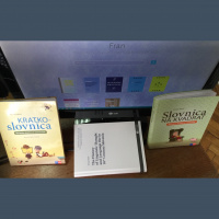 Slovnica, slovar in splet