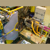 Kam je izginila vsa antisnov?