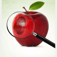 Varnost in sledljivost živil na slovenskem tržišču