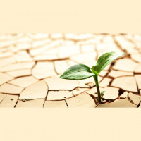 Živeti s podnebnimi spremembami