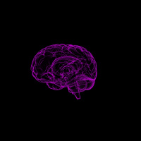 Demenca: ko telo preživi um