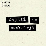 Zapisi Iz Movirja