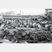 1905. gada revolūcija. No pilsoniskās organizēšanās līdz bruņotam konfliktam. 2. daļa