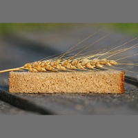 Padomju periods Ukrainas vēsturē. Golodomors 1932. un 1933. gadā