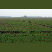 Agrārā reforma Latvijas laukos un tās ietekme uz sociālo struktūru