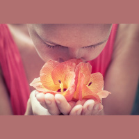 Pētnieks: Ožai ir iedarbība gan uz kognitīvām funkcijām, gan arī uz emociju apstrādi