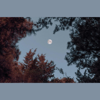 Astrofotogrāfija jeb kā top skaistas un zinātniskas kosmosa fotogrāfijas