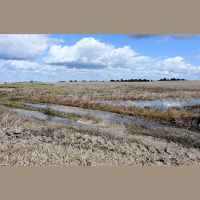 Pētījums: klimata pārmaiņas apdraud lauksaimniecību un zivsaimniecību