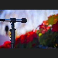 Publiskā runa vēsturē: spilgtākie piemēri