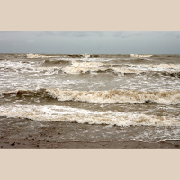 Jaunākie atklājumi par vērtīgo un sargājamo Baltijas jūrā 