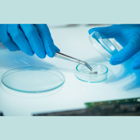 Cilmes šūnu pētījumi. Šūnas šķiro atkritumus